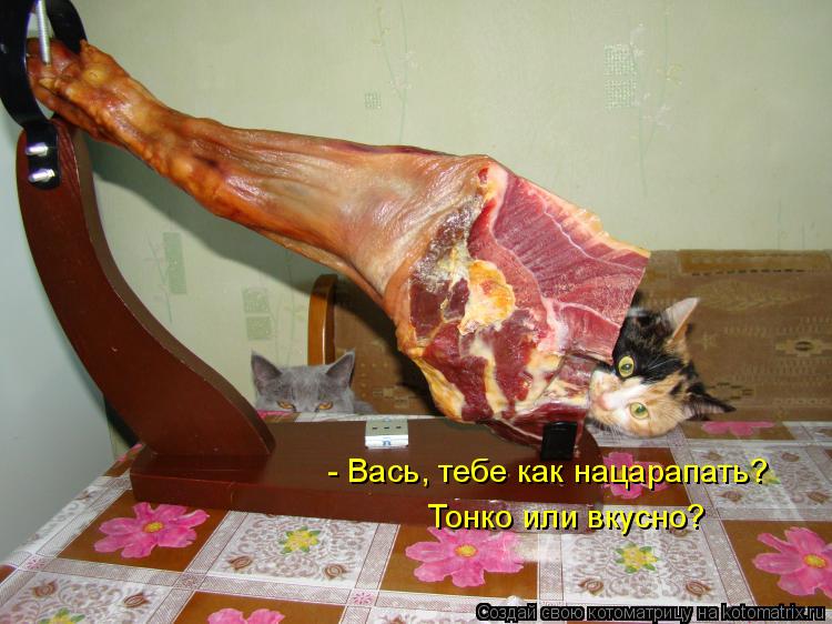 - Вась, тебе как нацарапать? Тонко или вкусно?... Котоматрица: - Вась, тебе как нацарапать? Тонко или вкусно?