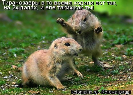 Тиранозавры в то время ходили вот так, на 2х лапах, и еле таких как ты!... Котоматрица: Тиранозавры в то время ходили вот так, на 2х лапах, и еле таких как ты!