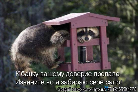 К банку вашему доверие пропало Извините,но я забираю своё сало!... Котоматрица: К банку вашему доверие пропало Извините,но я забираю своё сало!