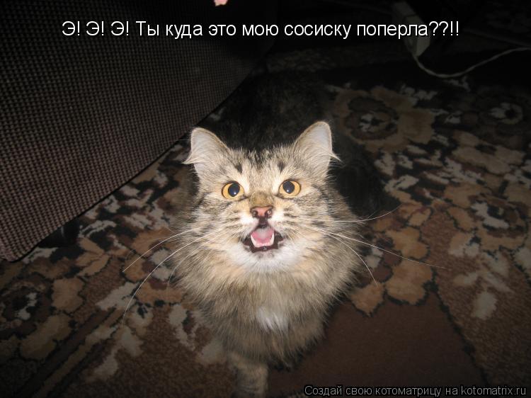 Э! Э! Э! Ты куда это мою сосиску поперла??!!... Котоматрица: Э! Э! Э! Ты куда это мою сосиску поперла??!!