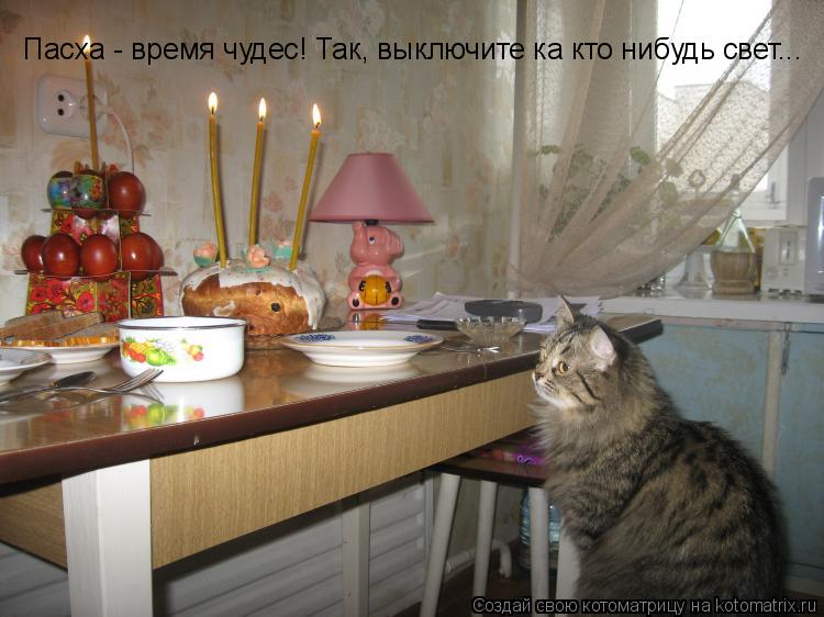 Пасха - время чудес! Так, выключите ка кто нибудь свет...... Котоматрица: Пасха - время чудес! Так, выключите ка кто нибудь свет...