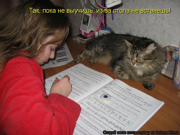 Так, пока не выучишь, из-за стола не встанешь!... Котоматрица: Так, пока не выучишь, из-за стола не встанешь!