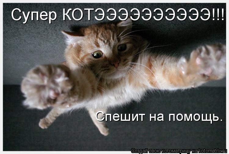Супер КОТЭЭЭЭЭЭЭЭЭЭ!!! Спешит на помощь.... Котоматрица: Супер КОТЭЭЭЭЭЭЭЭЭЭ!!! Спешит на помощь.