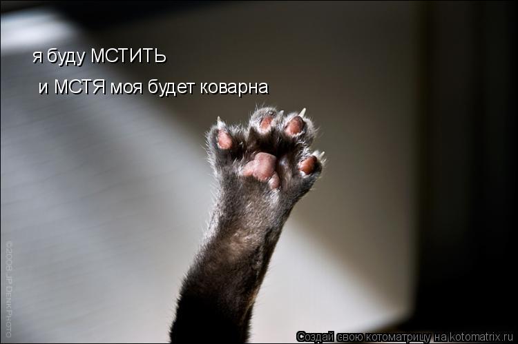 я буду МСТИТЬ и МСТЯ моя будет коварна... Котоматрица: я буду МСТИТЬ и МСТЯ моя будет коварна