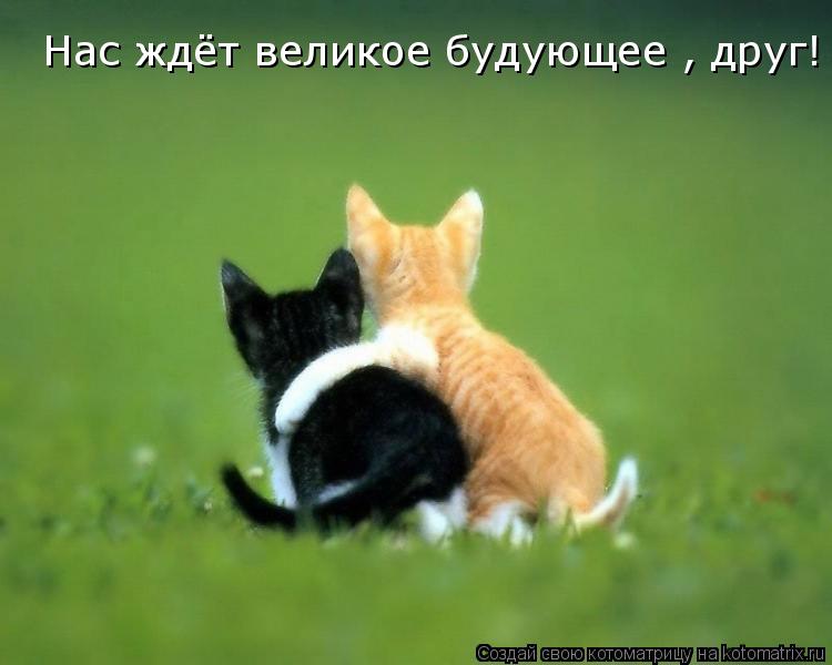 Нас ждёт великое будующее , друг!... Котоматрица: Нас ждёт великое будующее , друг!