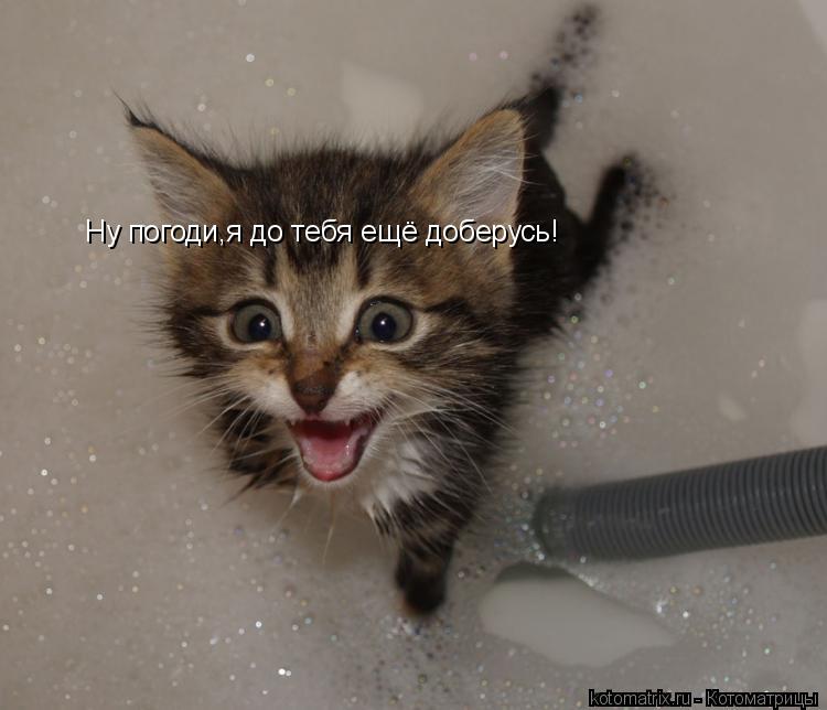 Ну погоди,я до тебя ещё доберусь!... Котоматрица: Ну погоди,я до тебя ещё доберусь!