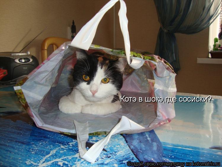 Котэ в шокэ,где сосиски?... Котоматрица: Котэ в шокэ,где сосиски?