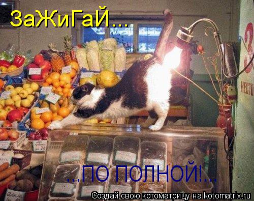 ЗаЖиГаЙ... ...ПО ПОЛНОЙ!...... Котоматрица: ЗаЖиГаЙ... ...ПО ПОЛНОЙ!...