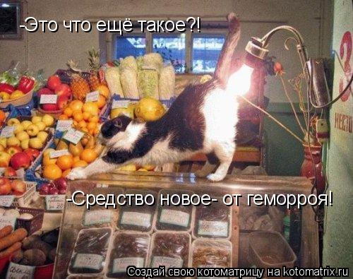 -Это что ещё такое?! -Средство новое- от геморроя!... Котоматрица: -Это что ещё такое?! -Средство новое- от геморроя!