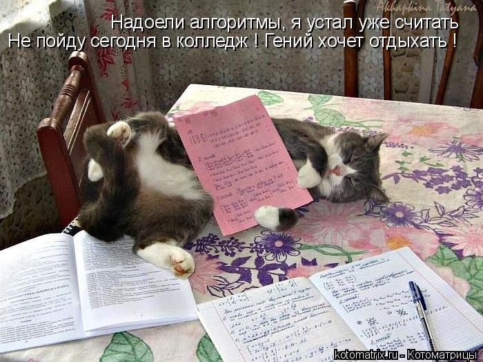 Котоматрица: Надоели алгоритмы, я устал уже считать Не пойду сегодня в колледж ! Гений хочет отдыхать !