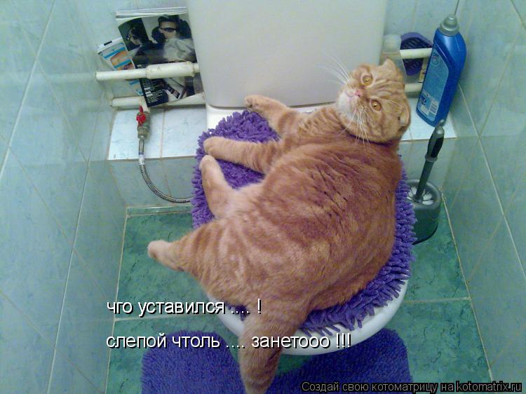 чго уставился .... ! чго уставился .... ! чго уставился .... ! слепой чтоль .... занетооо !!!... Котоматрица: чго уставился .... ! чго уставился .... ! чго уставился .... ! слепой чтоль .... занетооо !!!
