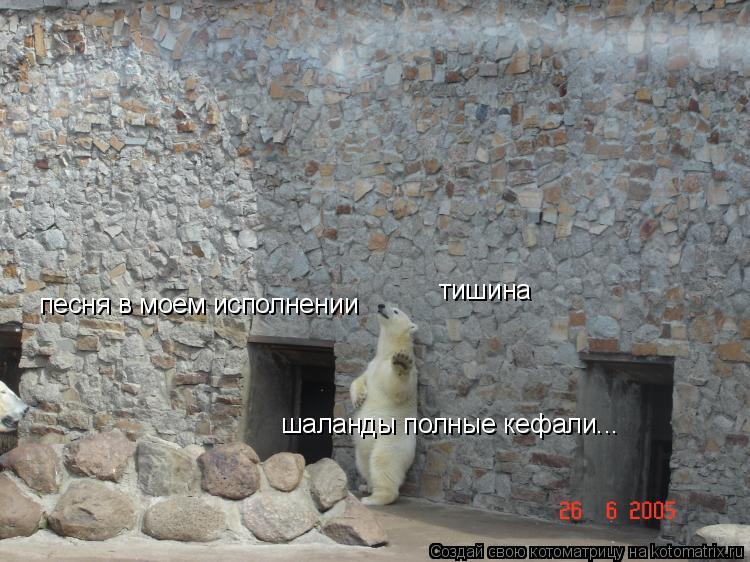 тишина песня в моем исполнении шаланды полные кефали...... Котоматрица: тишина песня в моем исполнении шаланды полные кефали...