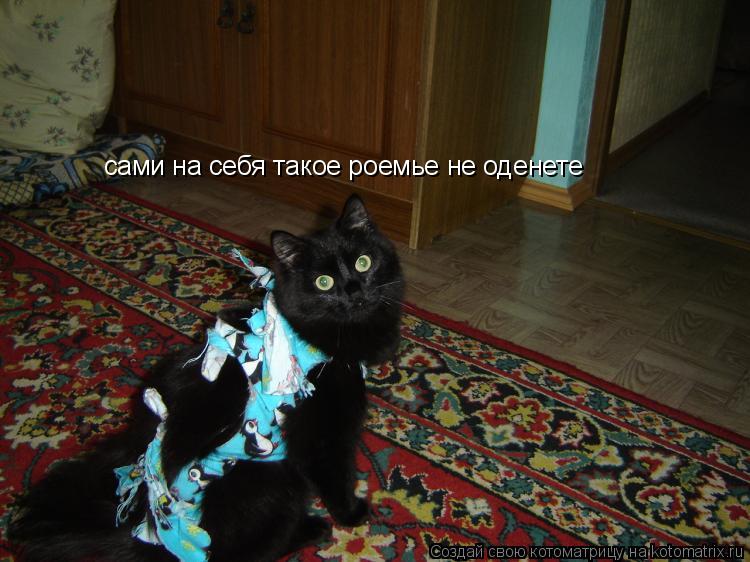 сами на себя такое роемье не оденете... Котоматрица: сами на себя такое роемье не оденете