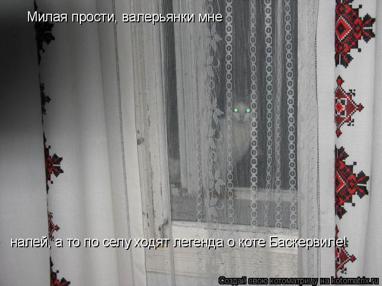 Милая прости, валерьянки мне налей, а то по селу ходят легенда о коте Баскервиле! налей, а то по селу... Котоматрица: Милая прости, валерьянки мне налей, а то по селу ходят легенда о коте Баскервиле! налей, а то по селу ходят легенда о коте Баскервиле!