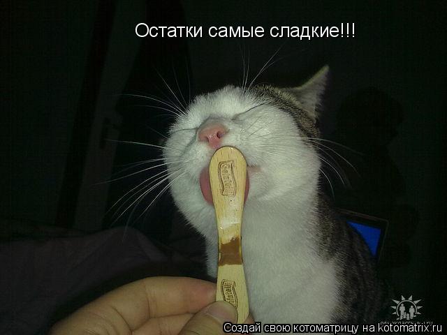Остатки самые сладкие!!!... Котоматрица: Остатки самые сладкие!!!
