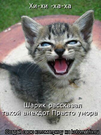 Хи-хи -ха-ха Шарик рассказал такой анекдот Прасто умора... Котоматрица: Хи-хи -ха-ха Шарик рассказал такой анекдот Прасто умора
