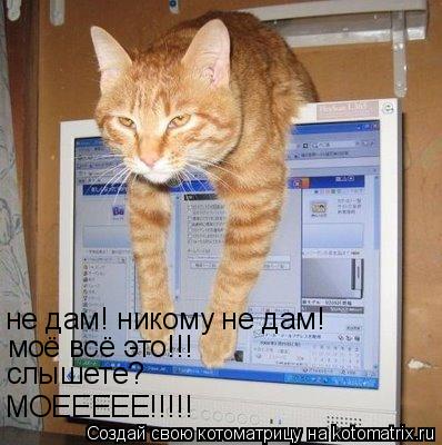 не дам! никому не дам! моё всё это!!! слышете? МОЕЕЕЕЕ!!!!!... Котоматрица: не дам! никому не дам! моё всё это!!! слышете? МОЕЕЕЕЕ!!!!!