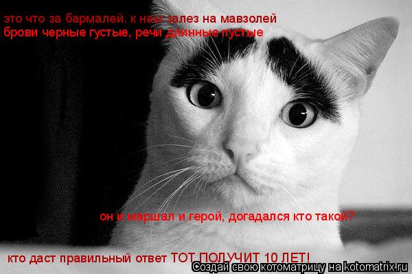 это что за бармалей. к нам залез на мавзолей брови черные густые, речи длинные пустые он и маршал и г... Котоматрица: это что за бармалей. к нам залез на мавзолей брови черные густые, речи длинные пустые он и маршал и герой, догадался кто такой? кто даст прави