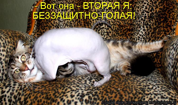 - Вот она - ВТОРАЯ Я: БЕЗЗАЩИТНО-ГОЛАЯ!... Котоматрица: - Вот она - ВТОРАЯ Я: БЕЗЗАЩИТНО-ГОЛАЯ!