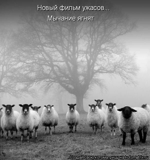 Котоматрица: Новый фильм ужасов... Мычание ягнят