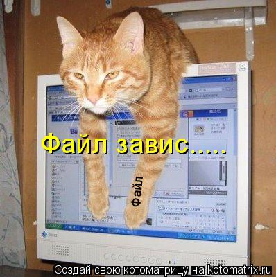 Котоматрица: Файл Файл завис.....