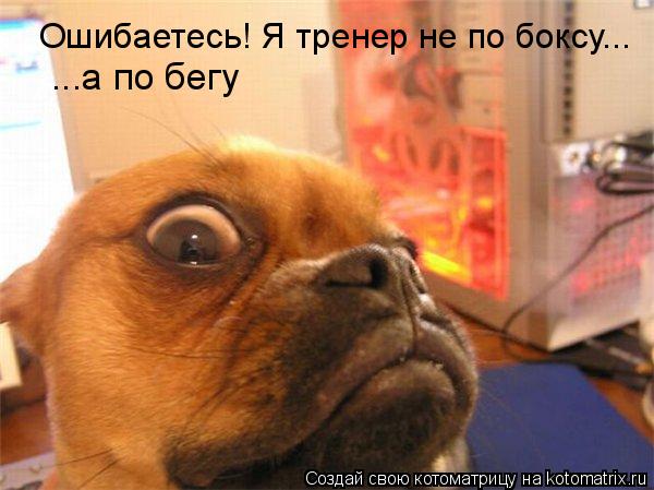 Котоматрица: Ошибаетесь! Я тренер не по боксу... ...а по бегу