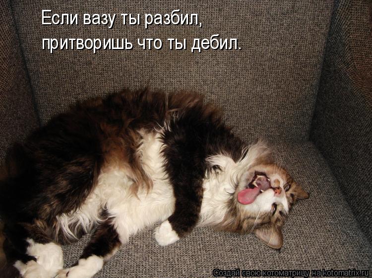 Котоматрица: Если вазу ты разбил, притворишь что ты дебил.