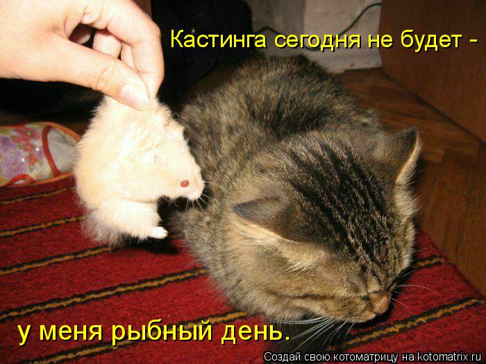 Кастинга сегодня не будет - у меня рыбный день.... Котоматрица: Кастинга сегодня не будет - у меня рыбный день.