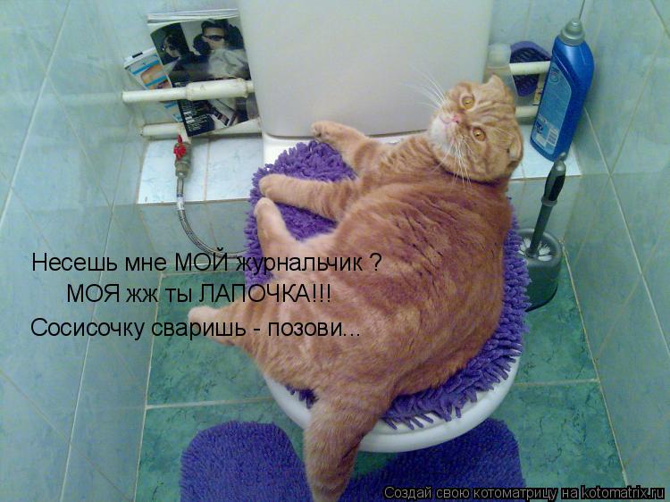 Несешь мне МОЙ журнальчик ? МОЯ жж ты ЛАПОЧКА!!! Сосисочку сваришь - позови...... Котоматрица: Несешь мне МОЙ журнальчик ? МОЯ жж ты ЛАПОЧКА!!! Сосисочку сваришь - позови...