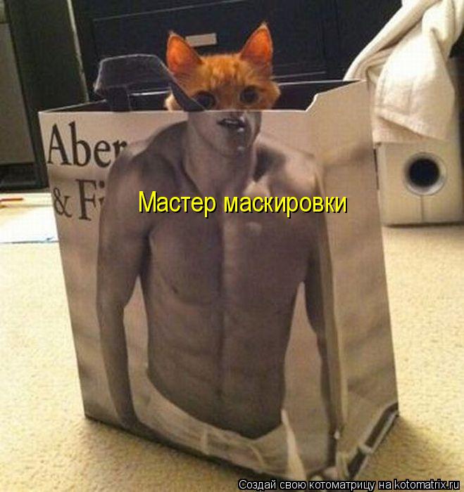 Котоматрица: Мастер маскировки