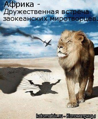 Котоматрица: Африка -  Дружественная встреча заокеанских миротворцев.