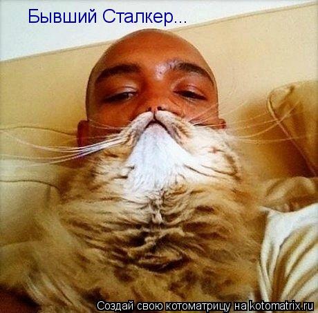 Котоматрица: Бывший Сталкер...