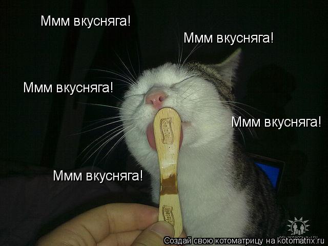 Котоматрица: Ммм вкусняга! Ммм вкусняга! Ммм вкусняга! Ммм вкусняга! Ммм вкусняга!