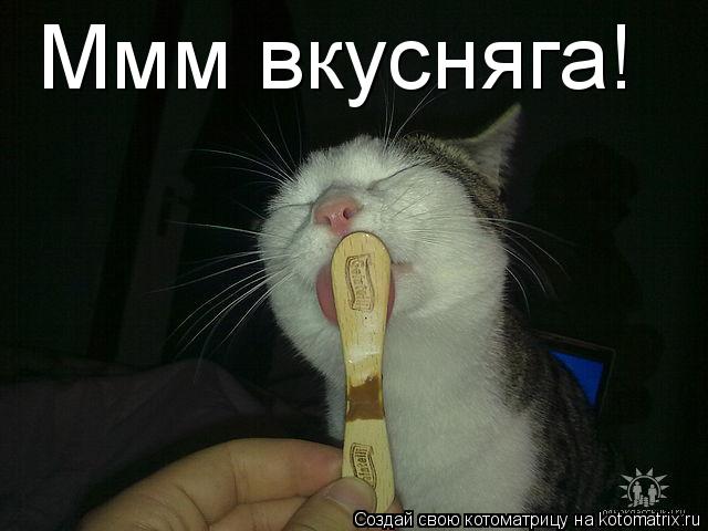 Котоматрица: Ммм вкусняга!