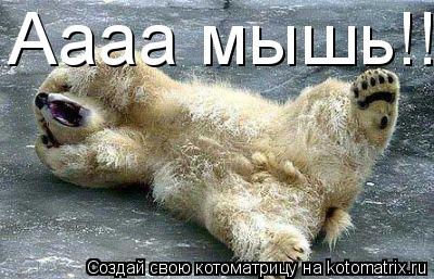 Котоматрица: Аааа мышь!!!