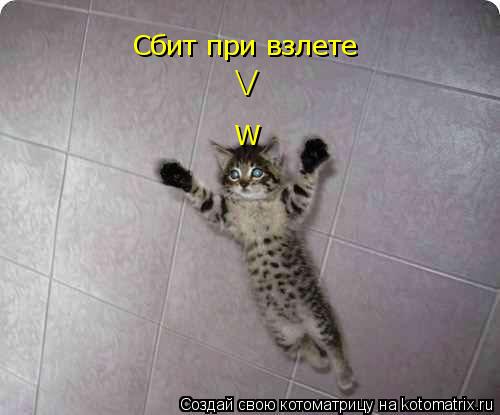 Котоматрица: Сбит при взлете  \/ W
