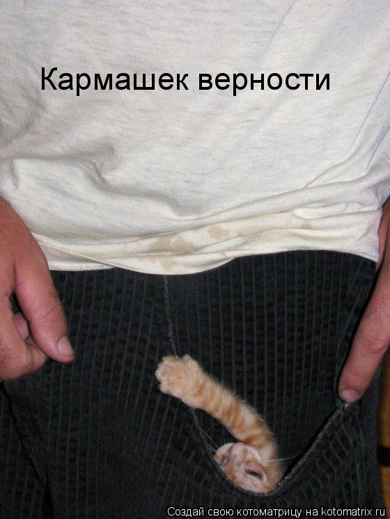 Котоматрица: Кармашек верности