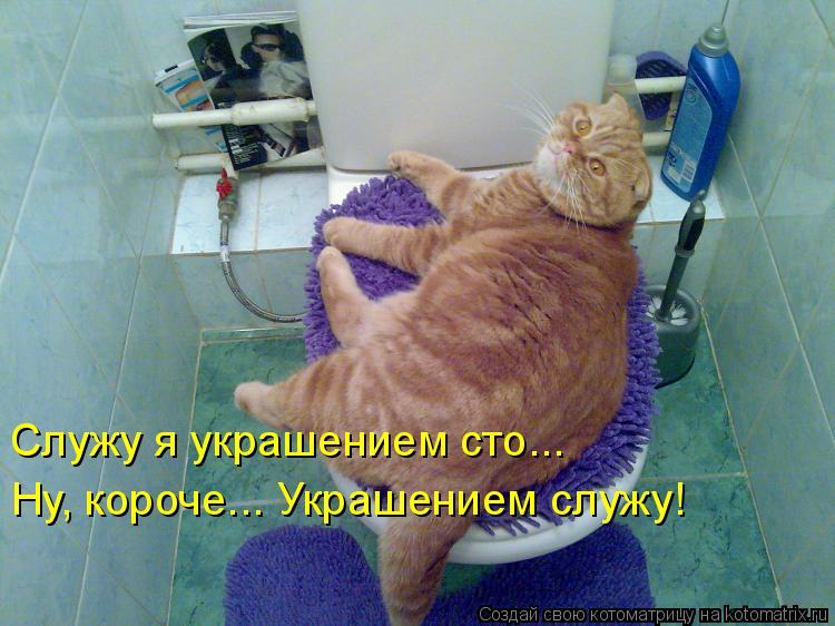 Котоматрица: Ну, короче... Украшением служу! Служу я украшением сто...