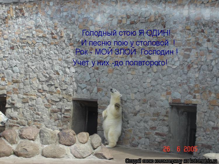 Котоматрица: И песню пою у столовой  ! Учет у них -до полвторого! Рок - МОЙ ЗЛОЙ  Господин ! Голодный стою Я ОДИН!