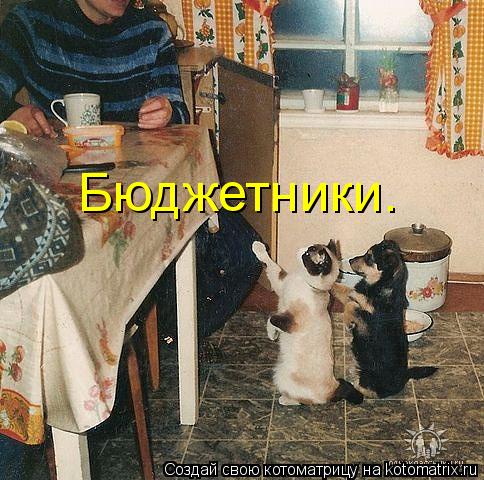 Котоматрица: Бюджетники.
