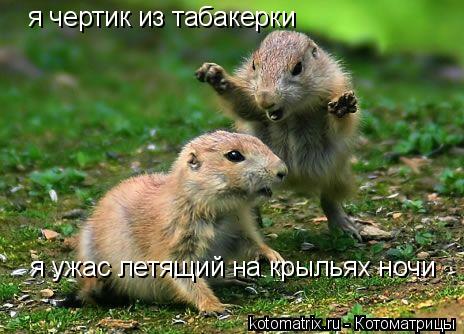 Котоматрица: я чертик из табакерки  я ужас летящий на крыльях ночи