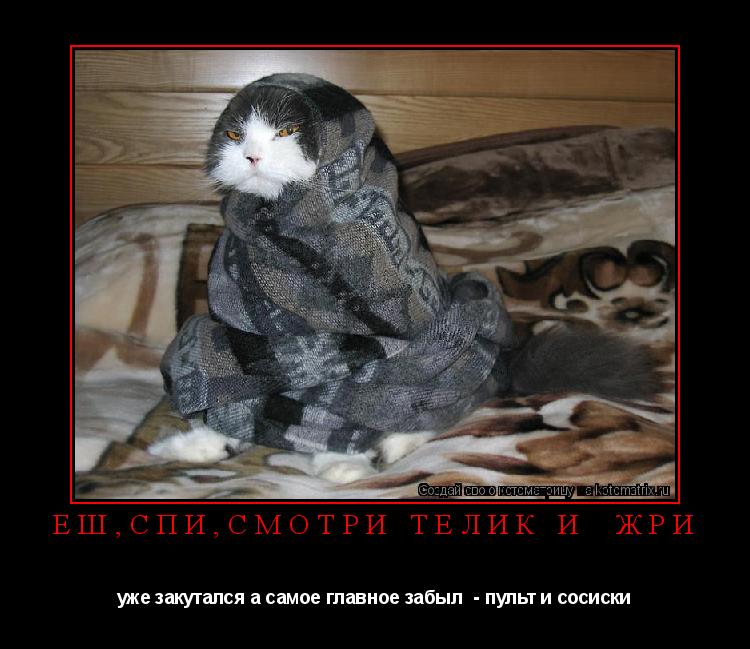Котоматрица: еш,спи,смотри телик и  жри уже закутался а самое главное забыл  - пульт и сосиски