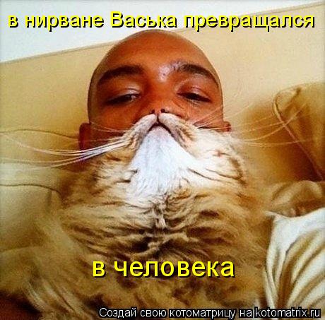 Котоматрица: в нирване Васька превращался в человека