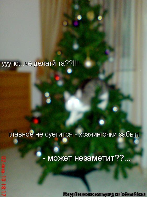 Котоматрица: ууупс...чё делатй та??!!! главное не суетится - хозяин очки забыл  ууупс...чё делатй та??!!! - может незаметит??...