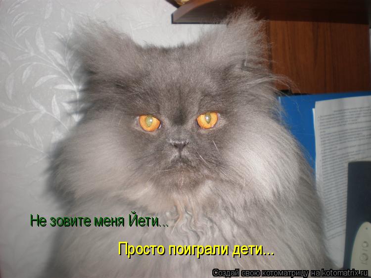 Не зовите меня Йети... Просто поиграли дети...... Котоматрица: Не зовите меня Йети... Просто поиграли дети...
