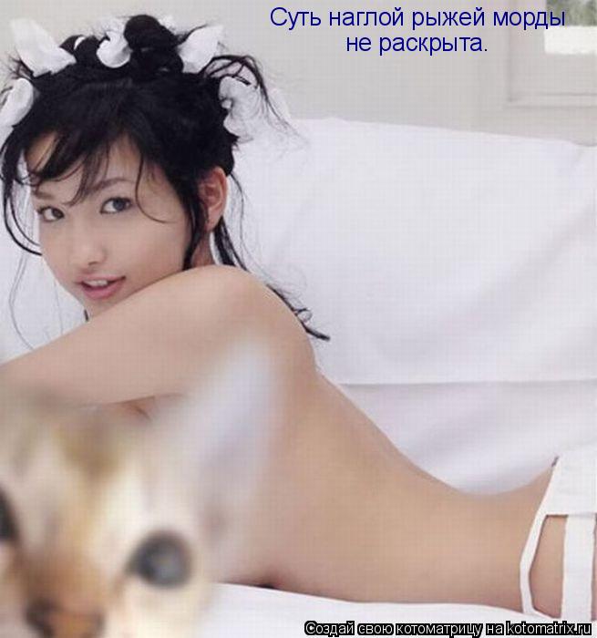 Суть наглой рыжей морды не раскрыта.... Котоматрица: Суть наглой рыжей морды не раскрыта.