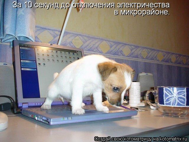 За 10 секунд до отключения электричества в микрорайоне.... Котоматрица: За 10 секунд до отключения электричества в микрорайоне.