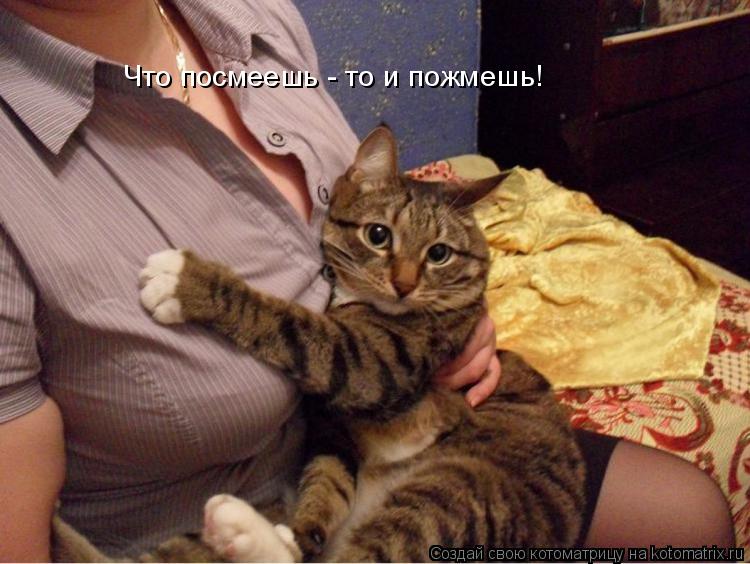 Что посмеешь - то и пожмешь!... Котоматрица: Что посмеешь - то и пожмешь!