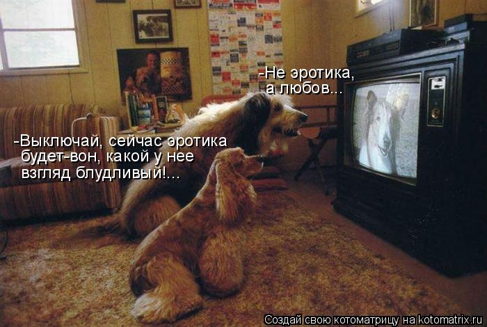 -Не эротика, а любов... -Выключай, сейчас эротика будет-вон, какой у нее взгляд блудливый!...... Котоматрица: -Не эротика, а любов... -Выключай, сейчас эротика будет-вон, какой у нее взгляд блудливый!...