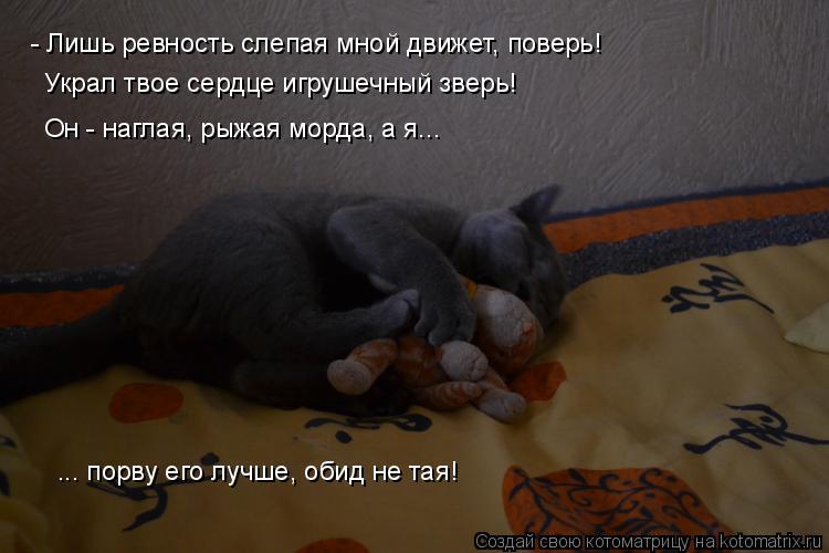 - Лишь ревность слепая мной движет, поверь! Украл твое сердце игрушечный зверь! Он - наглая, рыжая мо... Котоматрица: - Лишь ревность слепая мной движет, поверь! Украл твое сердце игрушечный зверь! Он - наглая, рыжая морда, а я... ... порву его лучше, обид не тая!